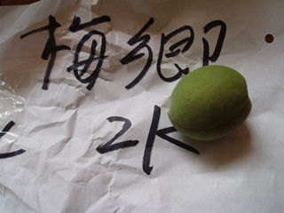 梅ジュース 材料 梅郷